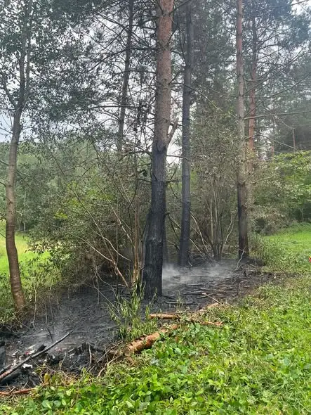 Pożar lasu między Rakową a Paszową – akcja strażaków