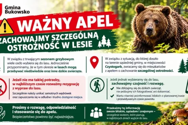 Apel do mieszkańców: zachowajmy ostrożność w lasach