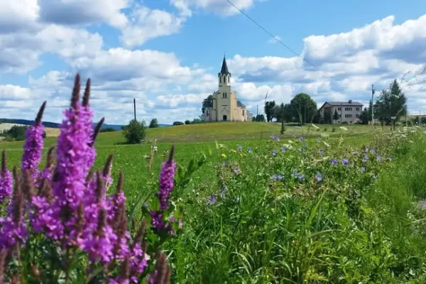 „Tajemnice Karpackiego Lasu” – nowy film promuje przyrodę pogranicza polsko-słowackiego