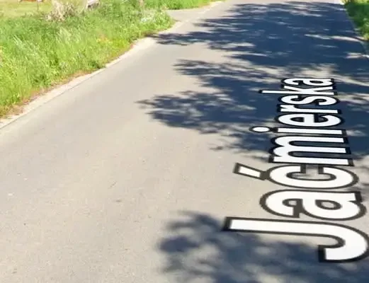Krowy uciekły z pastwiska przy ulicy Jaćmierskiej w Zarszynie. Interweniowali strażacy i policja