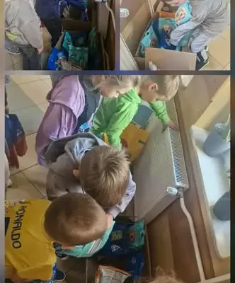 Światowy Dzień Zwierząt w szkole – 6 pudeł karmy dla schroniska