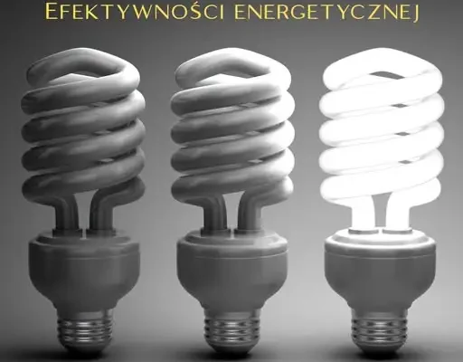 Dzień Efektywności Energetycznej – jak oszczędzać energię i pieniądze