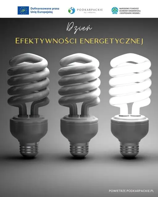 Dzień Efektywności Energetycznej – jak oszczędzać energię i pieniądze